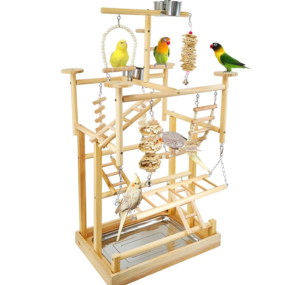 Amazon.com : LIMIO Bird Playground - Natural Wood Parrot
